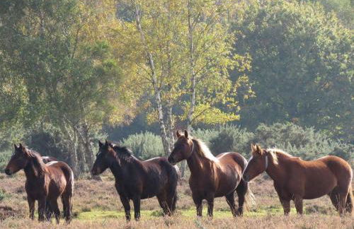 Perfect holiday Home from Home , three bedroom house for 5 guests - Foto 8