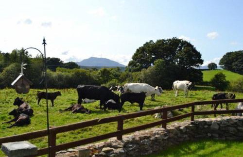 Old Coach House, Betws y Coed, Snowdonia - Foto 8
