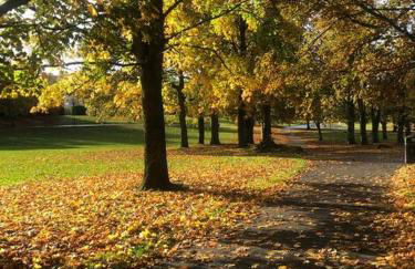 Traditional apt close to city centre & Hampden - Foto 7