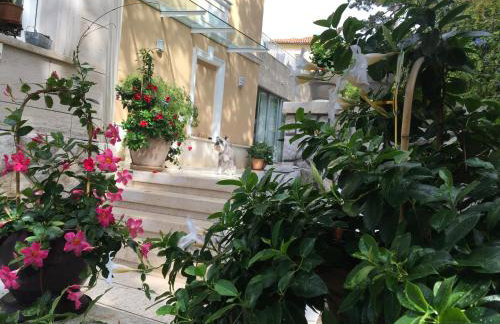 Guest House Villa Dagmar - EXCLUSIVE - Foto 70