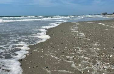 North Myrtle Beach Stay-Golfcart - Foto 63