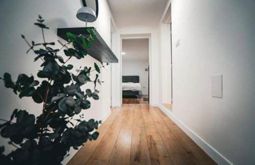 Apartmani Raguž, Ivankovo - Foto 18