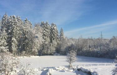 Chiemgau-LOFT zwischen Seenzauber und Gipfelglück - Foto 51