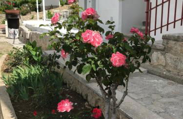 Campagne luxueuse de Sitges - Foto 47