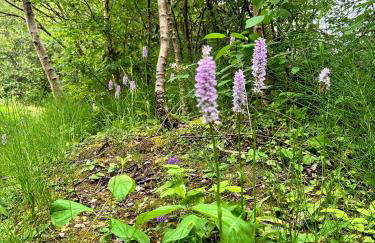Wigeon Secluded Rustic cabin - Foto 30