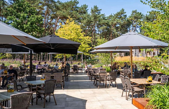 Chalet by Park Pond in the Netherlands - Foto 15