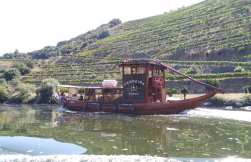Casa do Jornaleiro - Douro - Foto 38