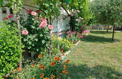 Apartments Vlasici - Foto 10