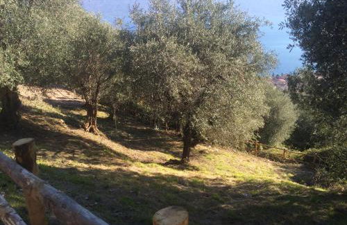 Cascina Varini - Foto 67