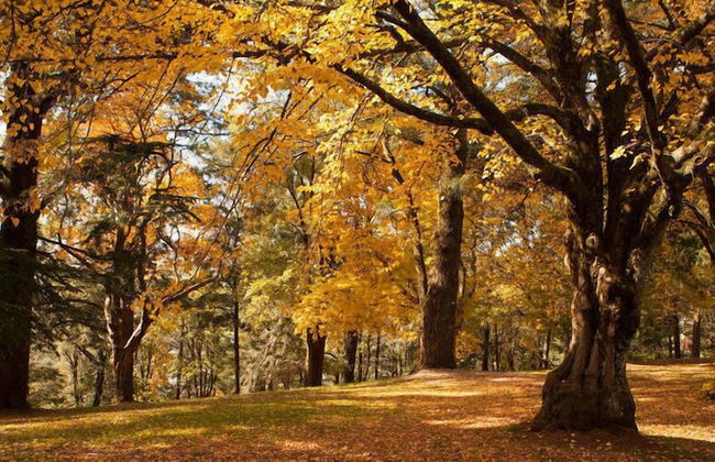 Hepburn Spa Pavilions - Foto 29