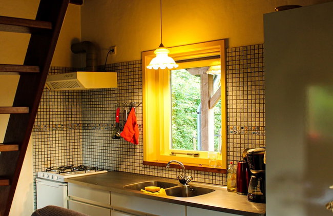 Cottage in Schijf With Garden - Foto 14