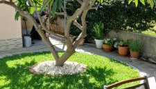 Elisabeth Villas - Photo 5