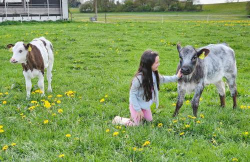 Bummler Hof - Foto 10