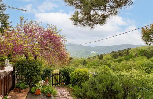 Sassi Scritti - Acero Montano - Foto 8