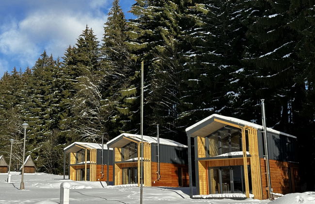 Luxe Timber Lodge & Relaxing Bath - Photo 46