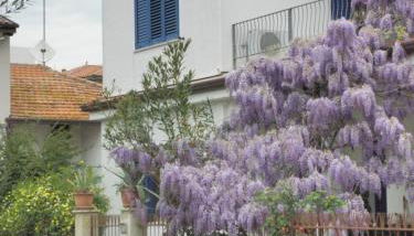 La Suite Di Rita - Foto 1, Garden