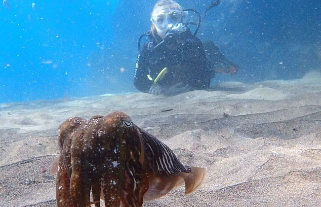 Immersione per principianti a Costa Teguise - Foto 3