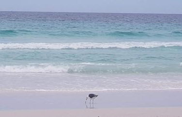 Conforto e lazer com vista para o mar - Praia das Dunas Beach House - Foto 45