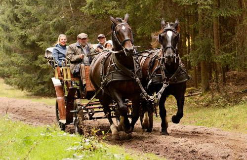 Garbers-Hof - Foto 52