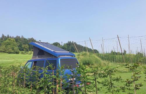 Ferienhof Metzler - Foto 11