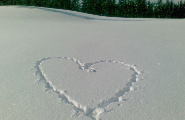 Holiday Home Eckstein - Foto 16