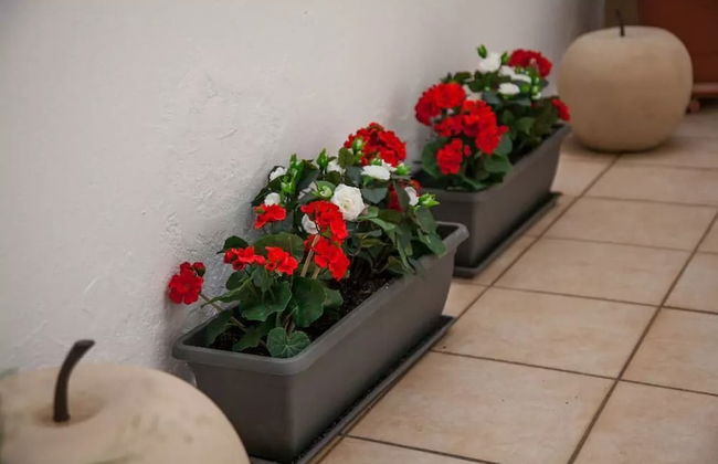 Thisio Modern House - Foto 27