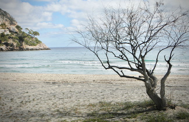 Apartamentos Sureda - Foto 52