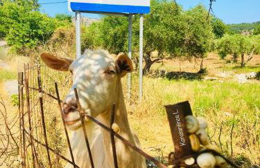 Evaggelias Home Gavalochori - Foto 36