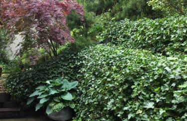 Ferienwohnung Luna - Foto 15