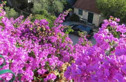 Apartmani Jolic - Foto 32