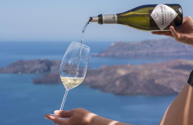 Wine Tasting in the 3 Remarkable Island Wineries with a certifies Wine Guide– Half-Day Private Tour - Foto 1