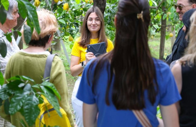 Combo with Lemon Tour & Tasting Lemon Tour followed by a Cooking Class - Foto 1