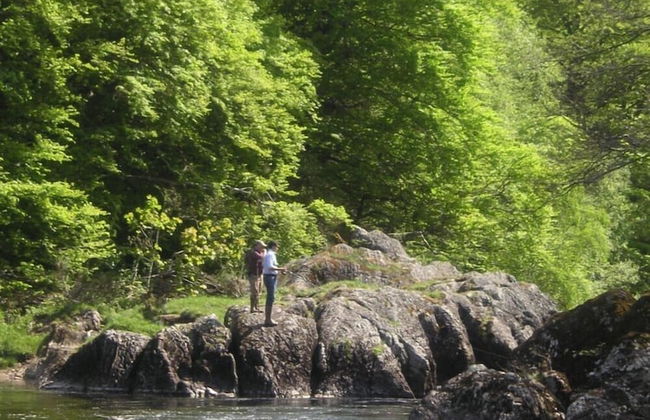 Chesthill House & Estate - Foto 15