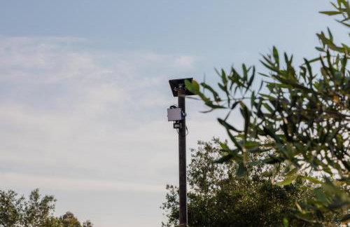 Melena Premium Suites - Foto 79