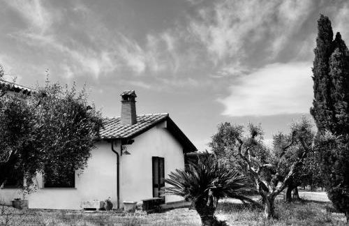 Orti di Capalbio - Foto 33