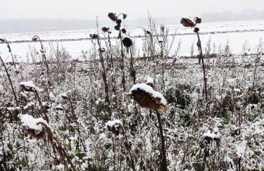 Landidylle mit Garten, Whirlpool und Klima - Foto 39
