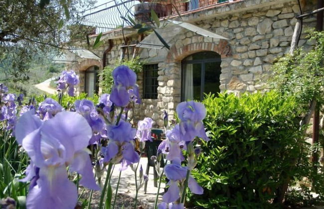 Agriturismo Fattoria di Castiglionchio - Foto 12