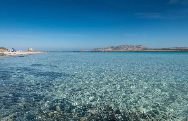 A few Steps La Pelosa Beach - Photo 20