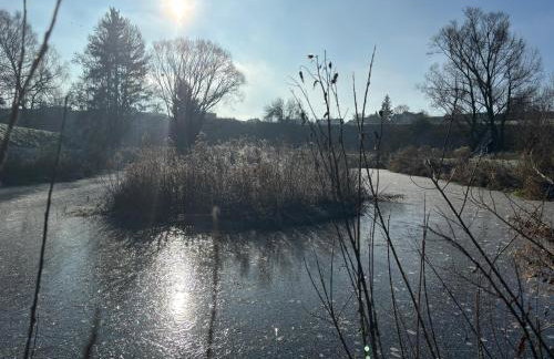 Schorsch's Ferienhaus - Foto 27