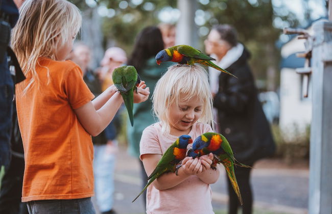 BIG4 Cania Gorge Holiday Park - Foto 64