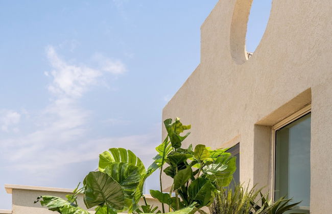 Mr. Montana - By TLV2GO - Foto 51