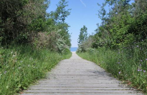 Barendorf Whg Meyer1 - Photo 9