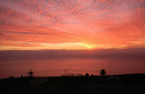 Finca La Paz - Foto 9