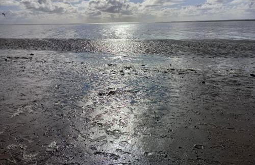 Ferienwohnung Nordlicht - Foto 24