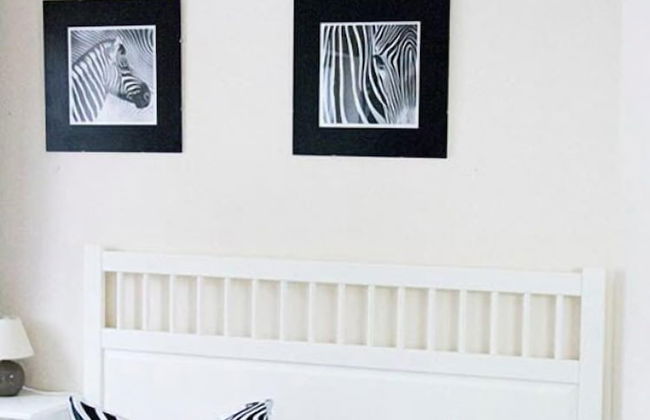 Schnyder Ranch - Foto 4