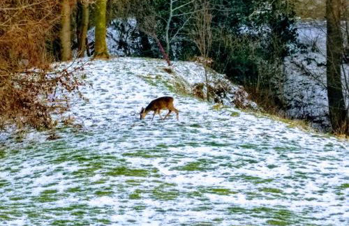 Idyllic Country Cottage, Firbank, Near Sedbergh, Cumbria - Foto 17
