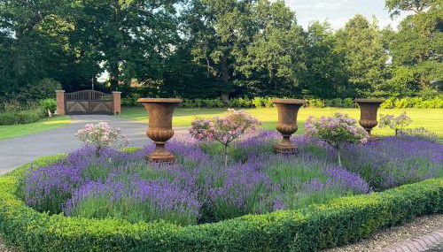 Luxury Cottage & Spa - Foto 2, Garden