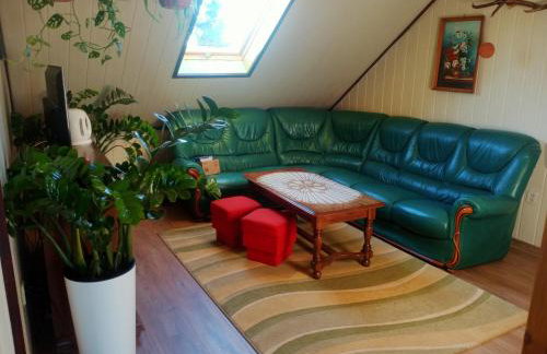 Agroturystyka u Basi śniadanie wliczone w cenie - Foto 13