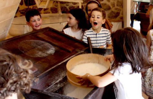 Moinhos Carvalhas - Foto 21