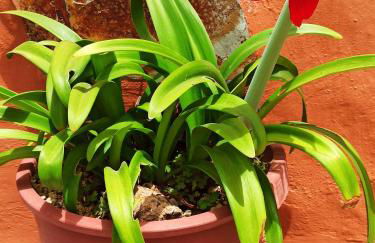 Casa de los abuelos - Foto 38